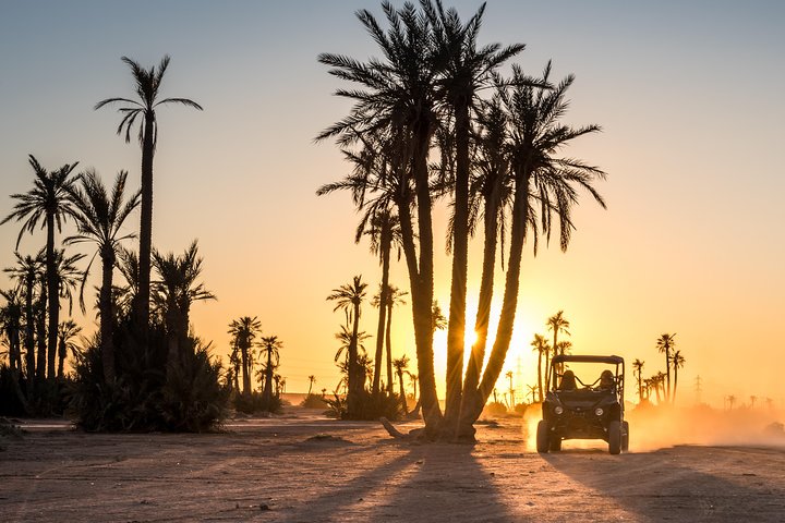 Buggy and dromedary at sunset in the Agafay desert